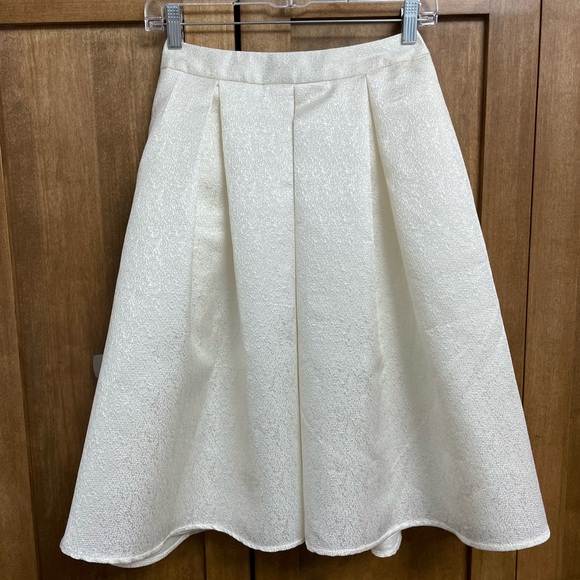 Express A-line Skirt